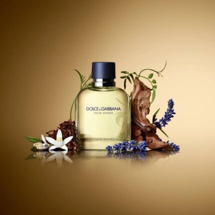 Dolce & Gabbana Pour Homme Masculino Eau de Toilette 125ml
