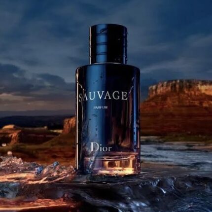 Dior Sauvage Masculino - 100ml Edt
